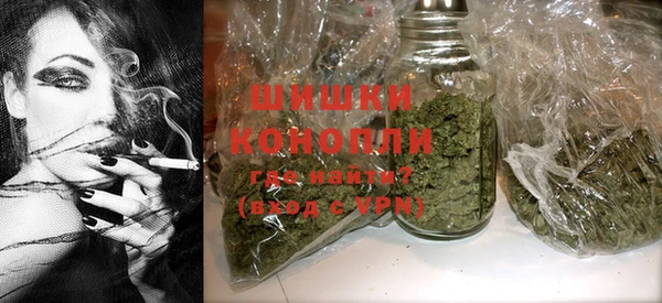 амф Коряжма