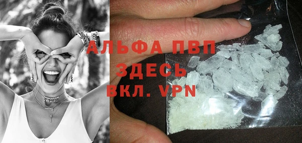 амф Коряжма