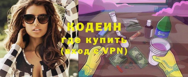 мет Корсаков