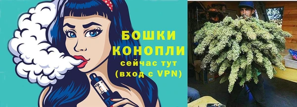 амф Коряжма