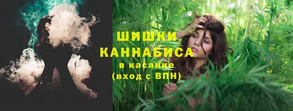 амф Коряжма